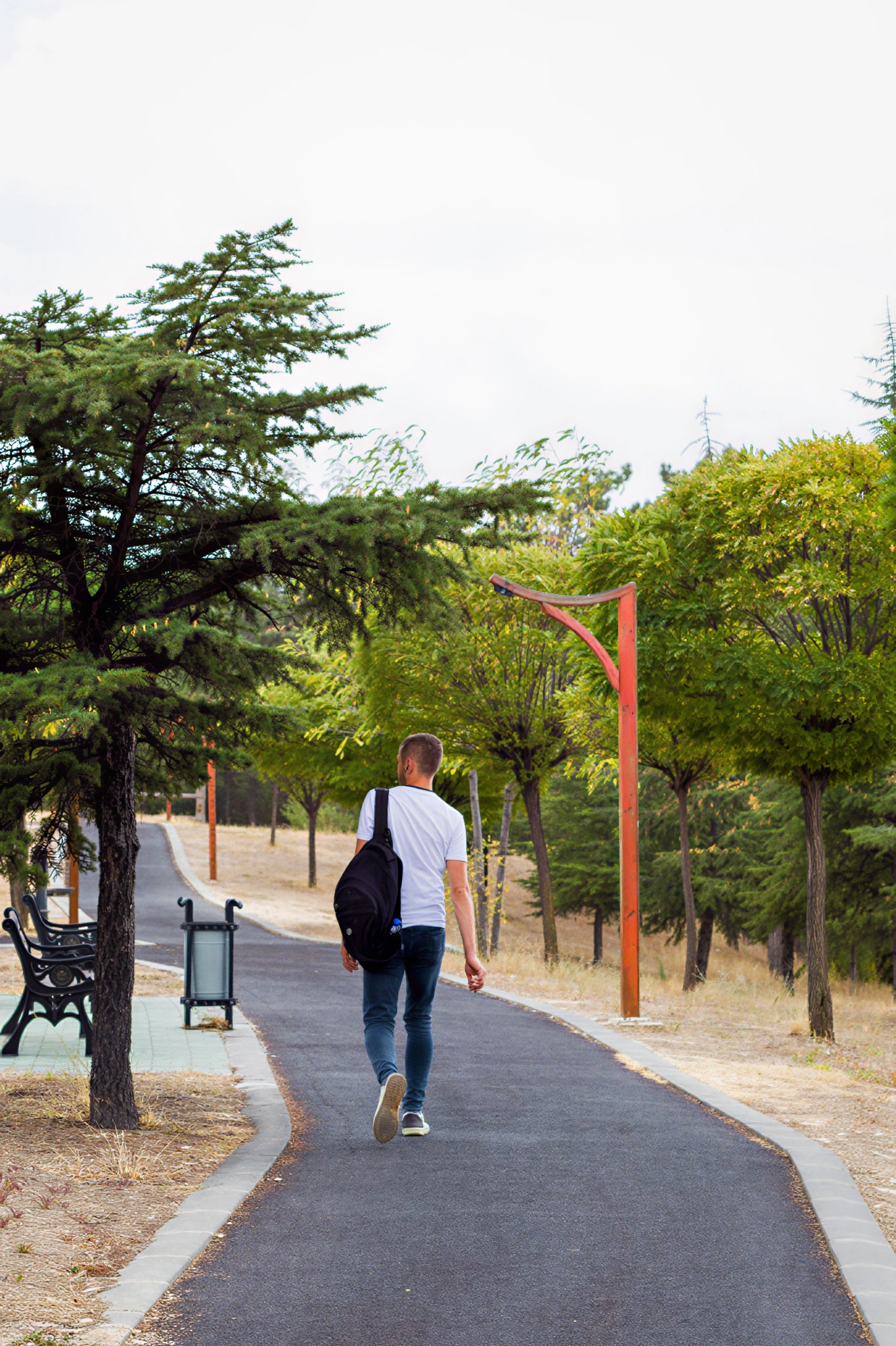 Man walking along a tree-lined park path