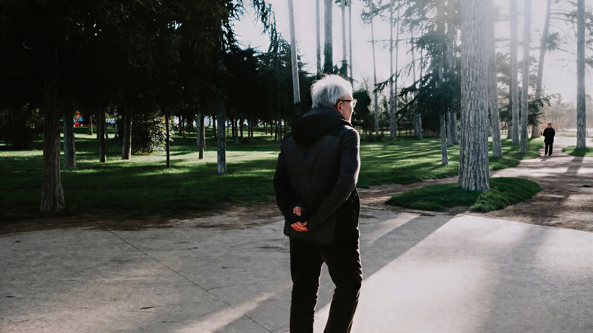 Man walking through a tree-lined park